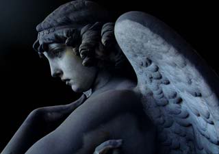 blue_angel blue_angel
