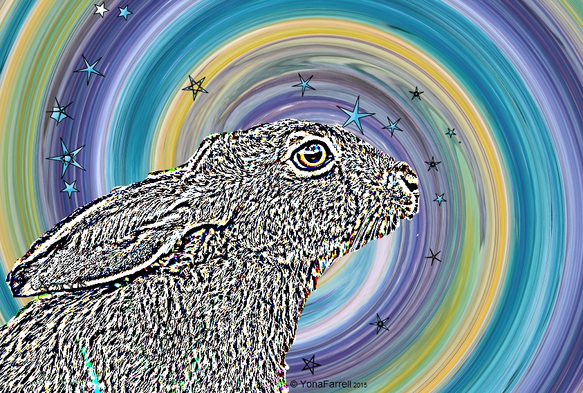 resizehare resizehare